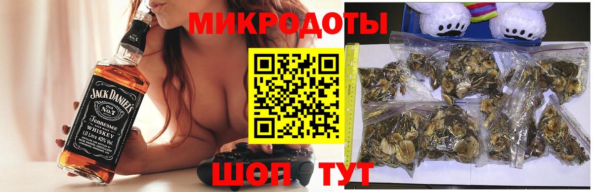 где купить наркотик  Вход с VPN  Чита  Псилоцибиновые грибы прущие грибы 