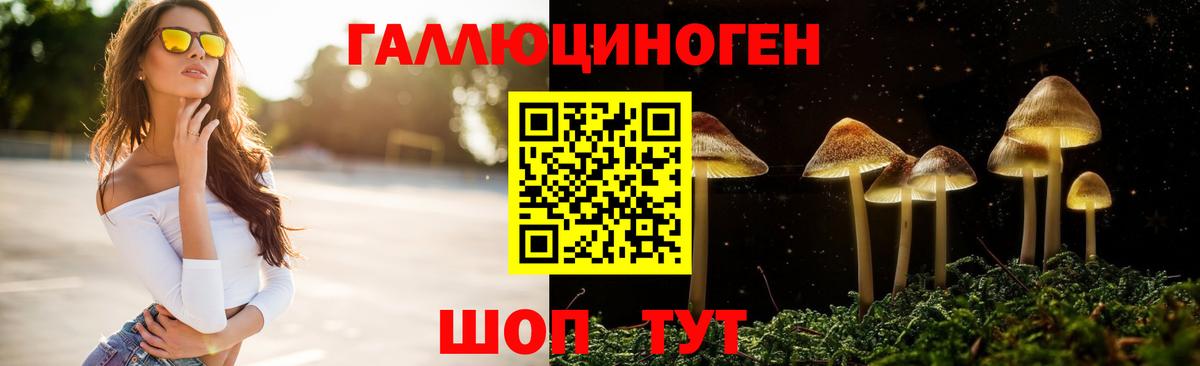 Псилоцибиновые грибы мухоморы Чита